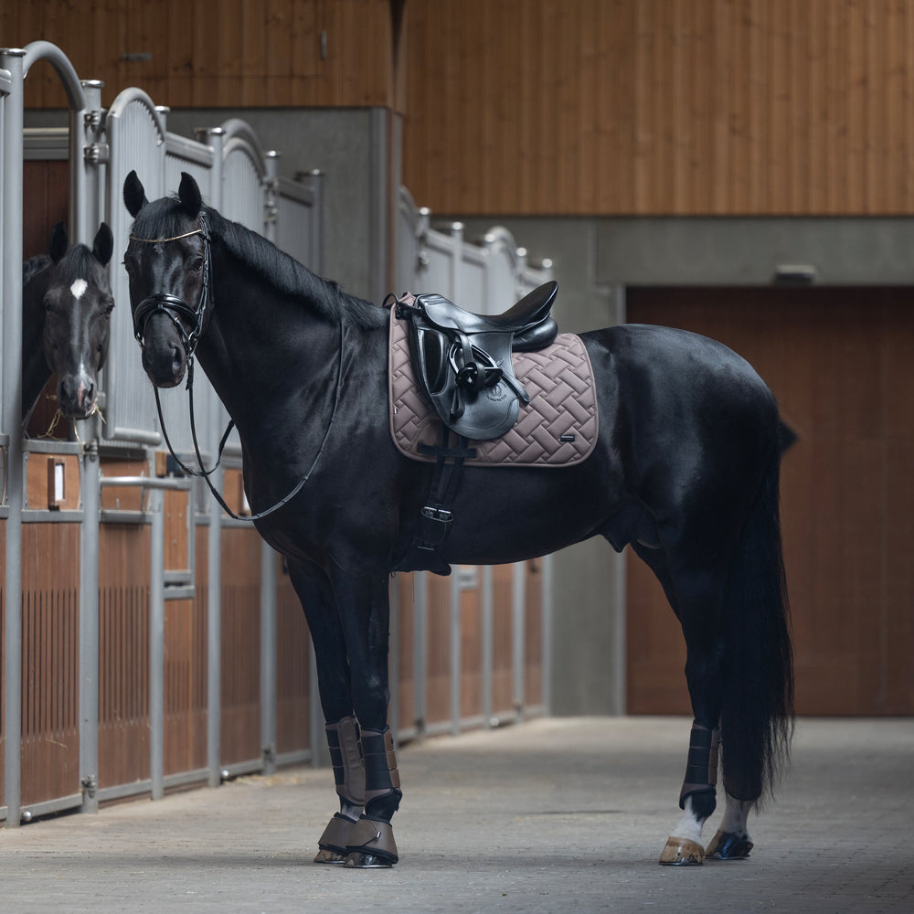kingsland-equestrian-kllexie-dressur-schabracke image 2