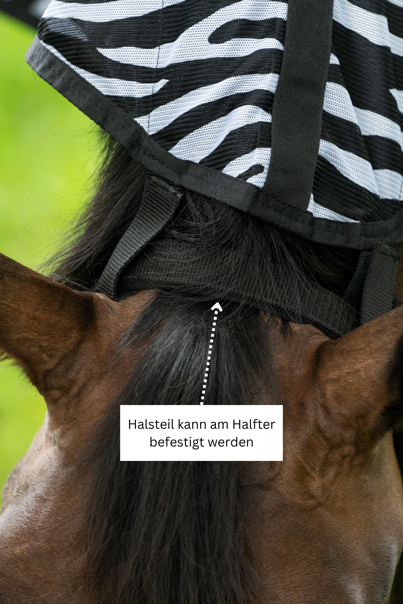 hkm-fliegendecke-mit-halsteil-zebra-mit-bauchlatz-gr-m image 6