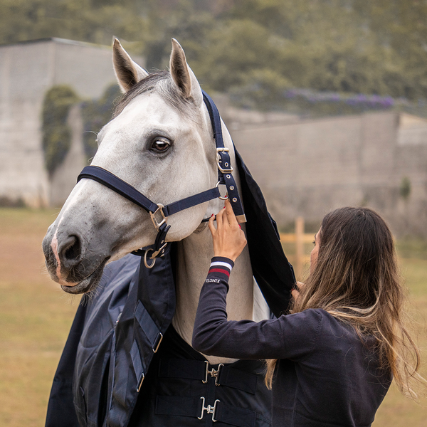 kingsland-equestrian-classic-damen-strickpullover-v-ausschnitt-navy image 6