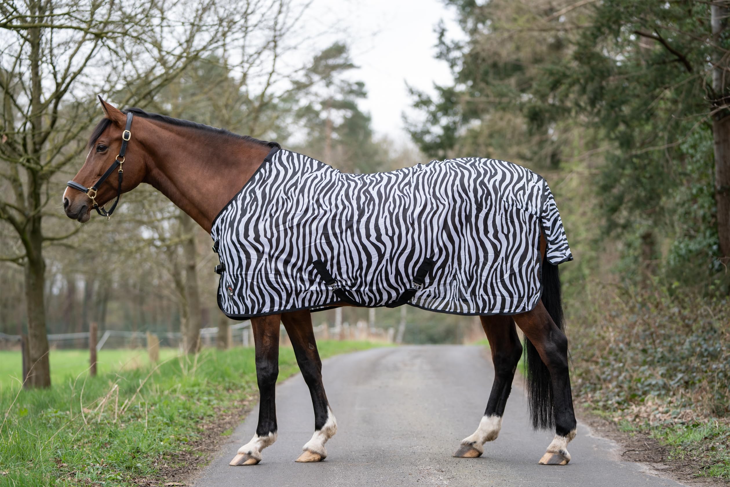 hkm-fliegendecke-zebra-mit-kreuzgurt-145 image 3