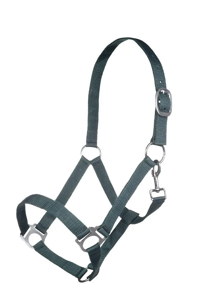 hkm-brisbane-halfter-warmblut-dunkelgr-n image 1