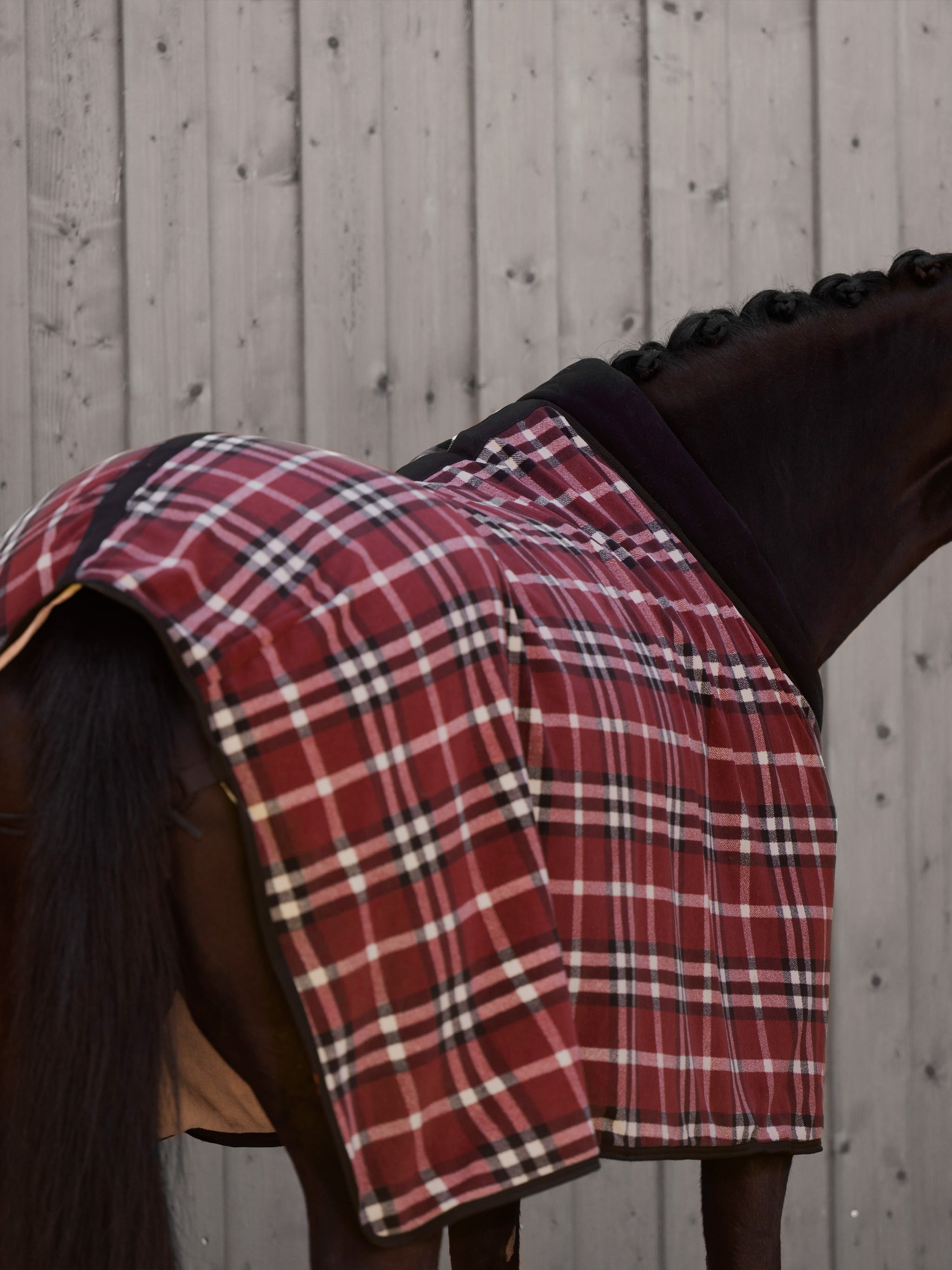 kieffer-abschwitzdecke-countrie-fleece-mit-kragen image 4