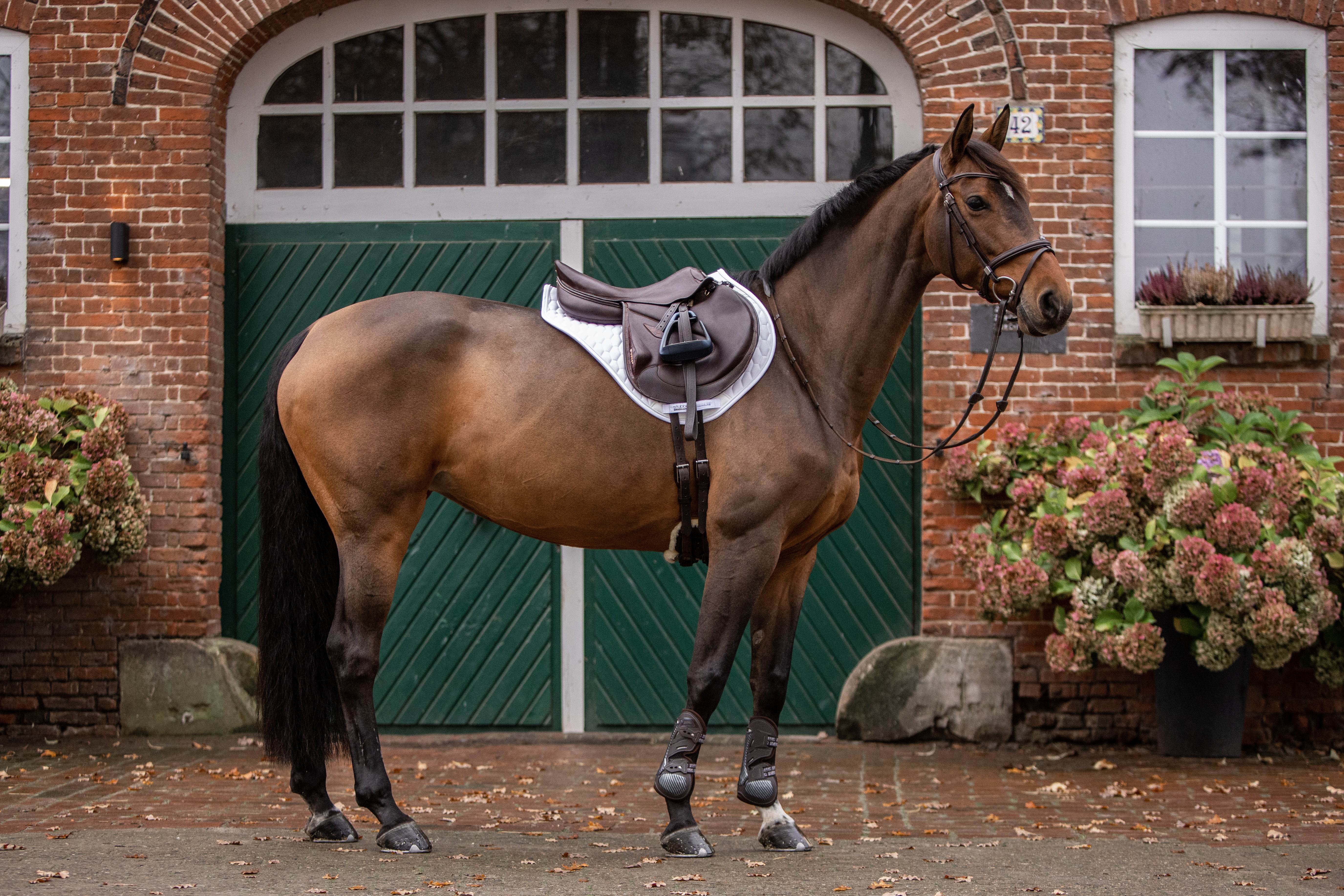 st-bben-streamline-cross-country-schabracke-gen2 image 7