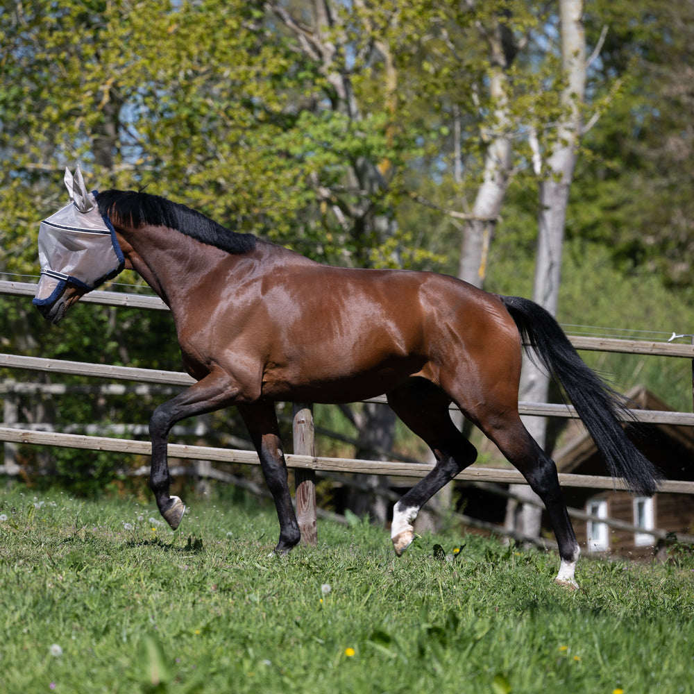 kingsland-equestrian-kllando-fliegenmaske-mit-fleece image 3