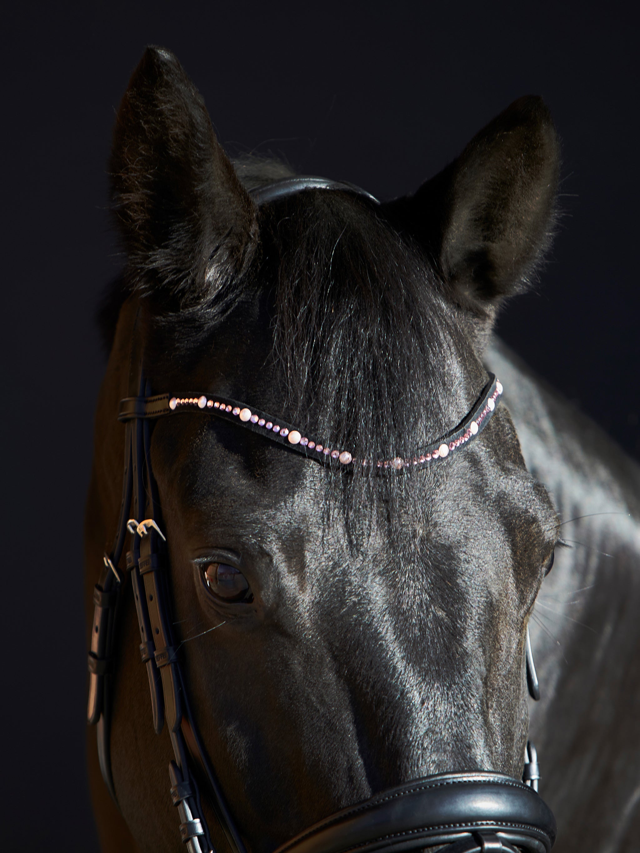 kieffer-trense-priya-englisch-kombiniert-swarovski-rosa image 3