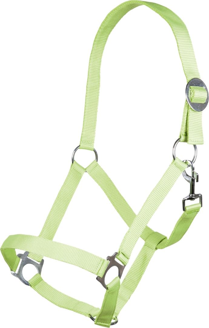 hkm-stars-economy-softice-holster image 6