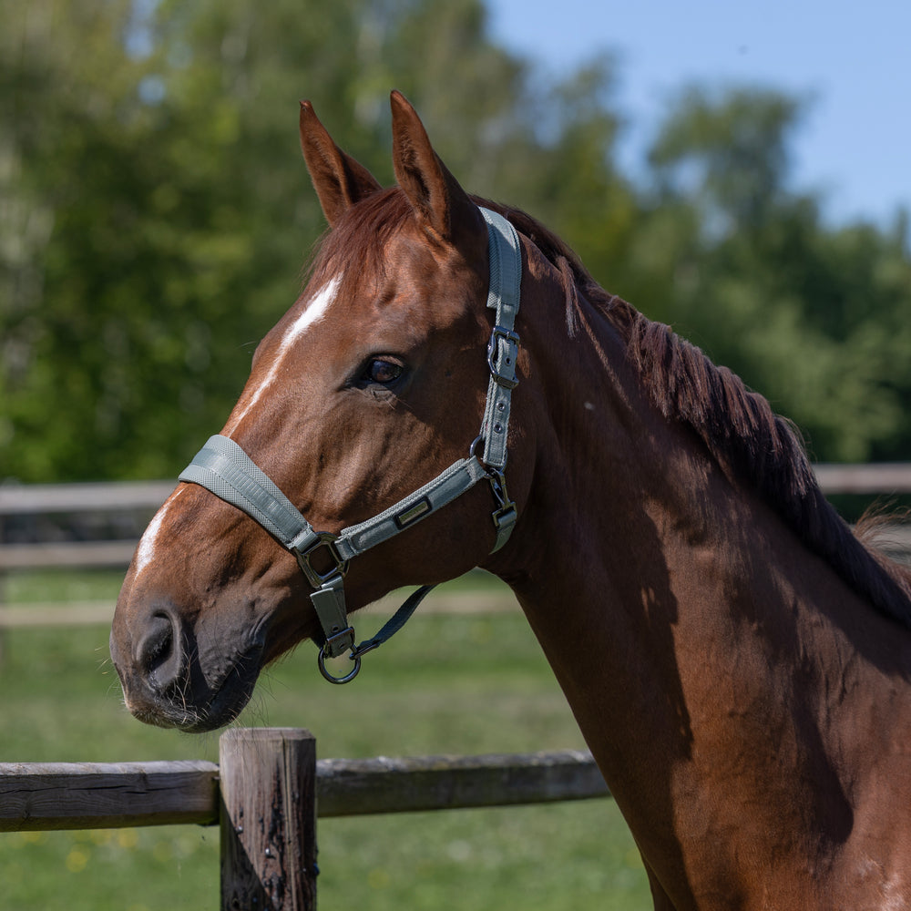 kingsland-equestrian-kllucca-halfter-set-mit-strick-cooling image 2