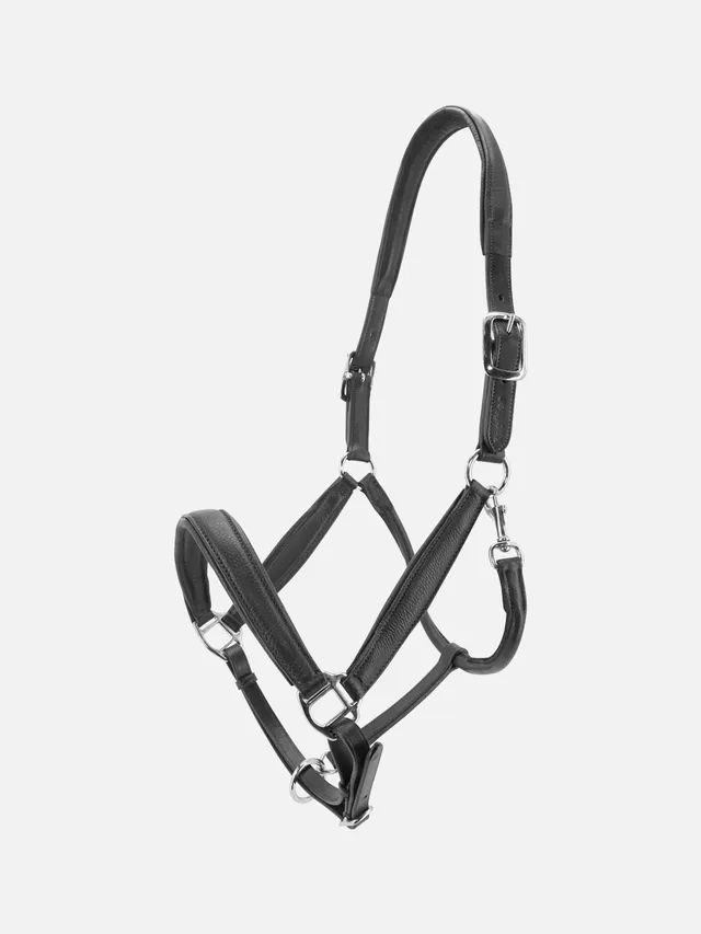 kieffer-ultrasoft-leder-stallhalfter-butterweich-verstellbar image 1