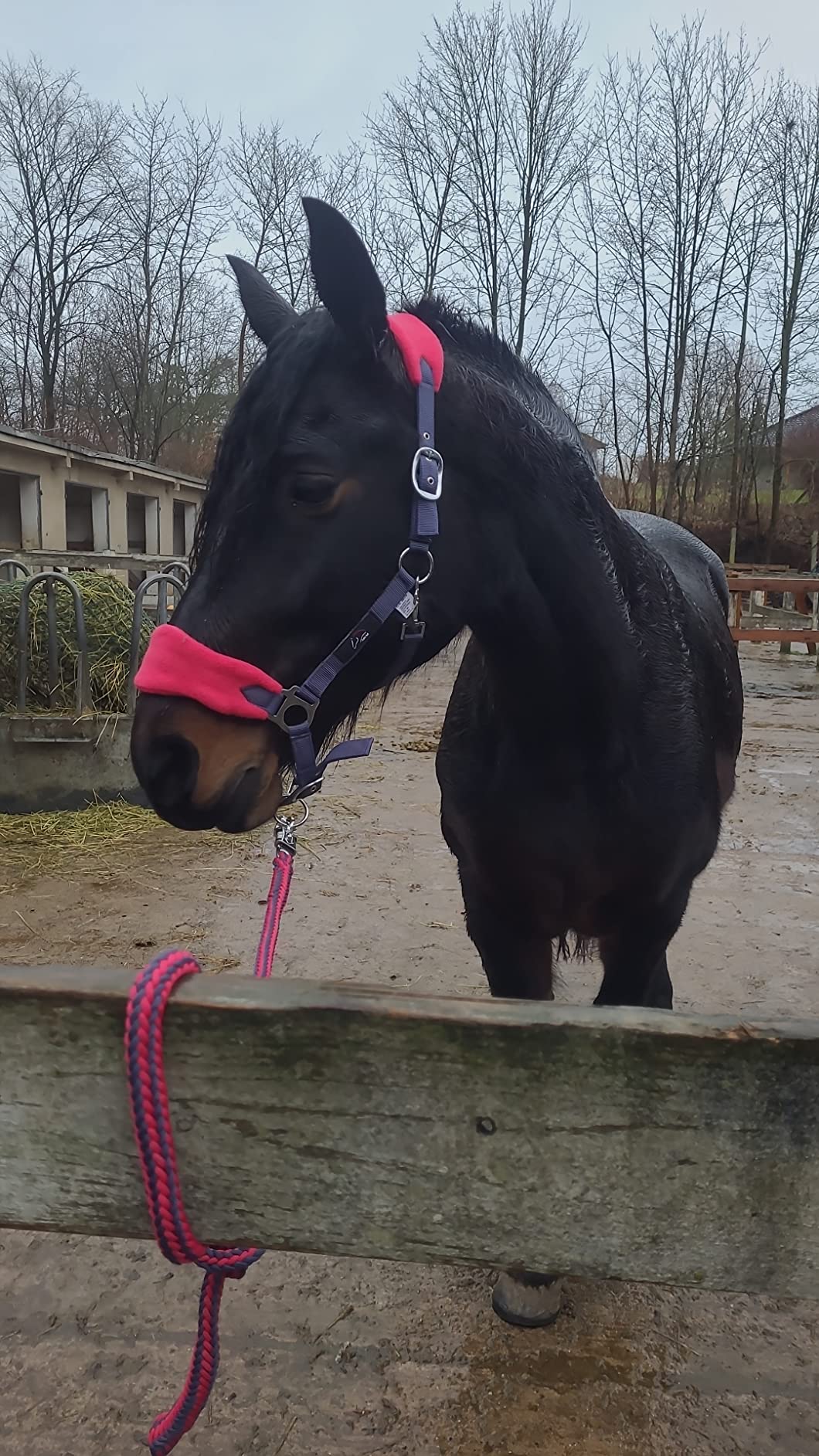 Komplettes Set, alles dabei
