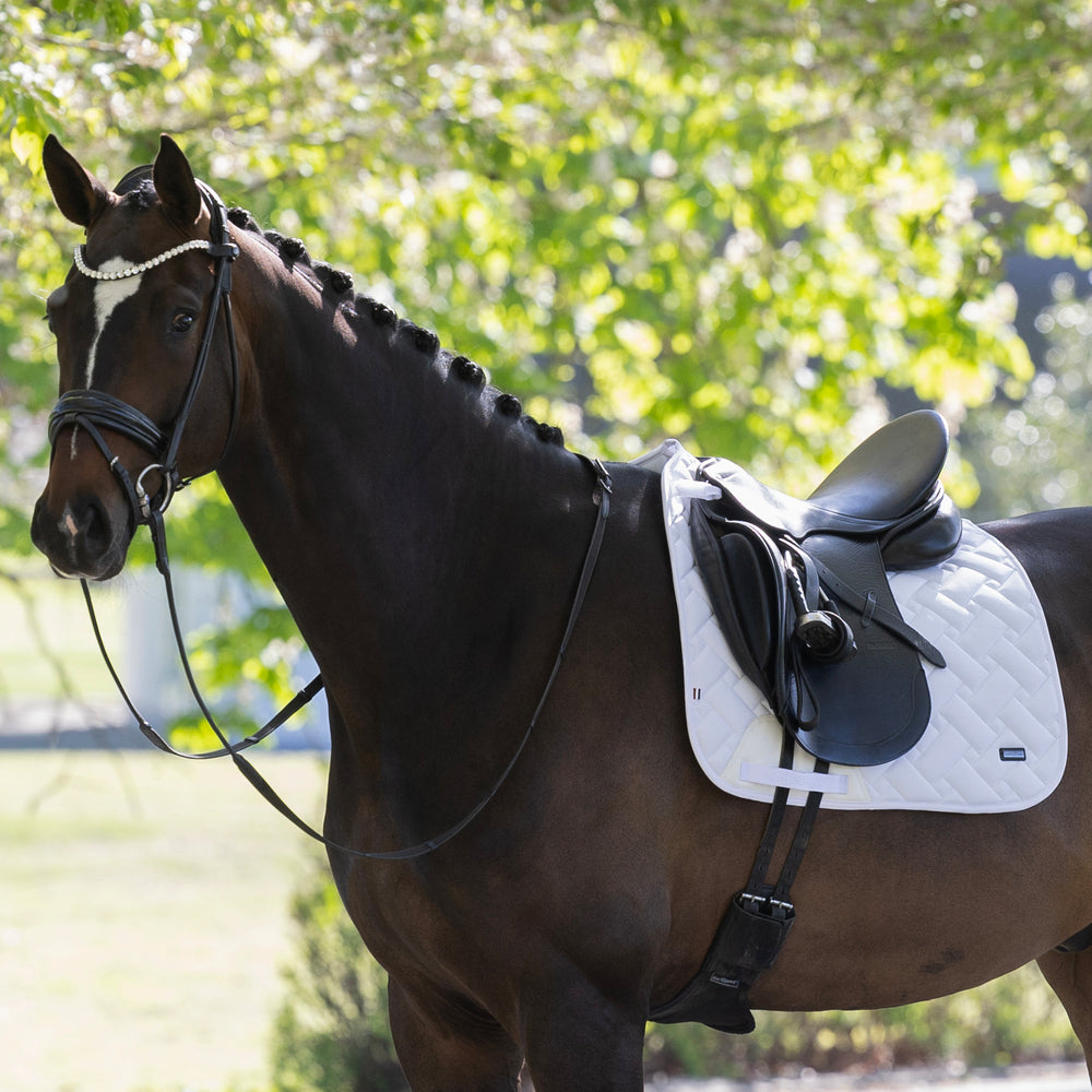 kingsland-equestrian-kllexie-dressur-schabracke image 5