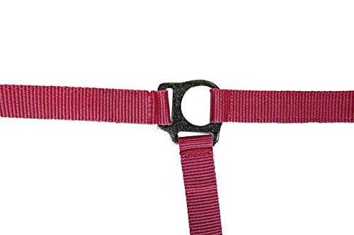 hkm-stars-economy-softice-sporenholster image 7