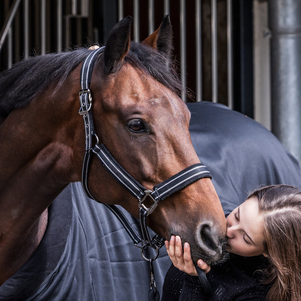 kingsland-equestrian-klmona-halfter-mit-strick-set image 2
