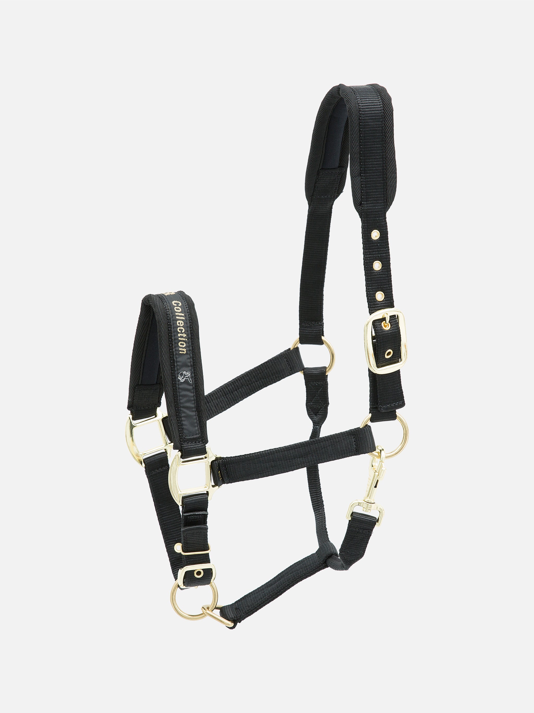 kieffer-collection-stallhalfter-nylon-gepolstert image 7