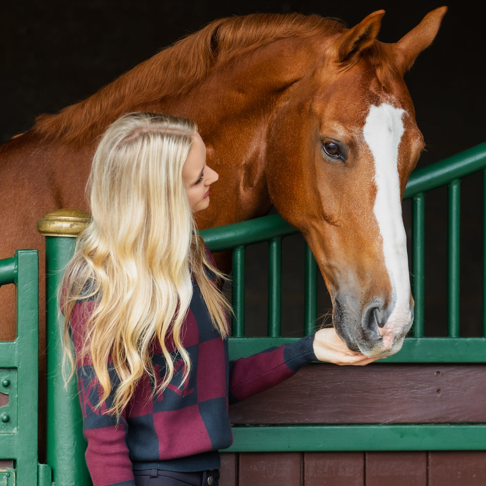 kingsland-equestrian-klmelanie-damen-strickpullover image 2