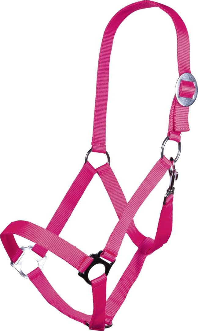 hkm-stars-economy-halfter-softice image 4