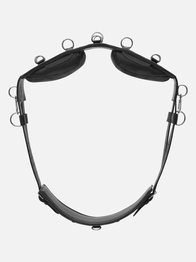 kieffer-longiergurt-equishape-pro-anpassbarer-leder-longiergurt image 1