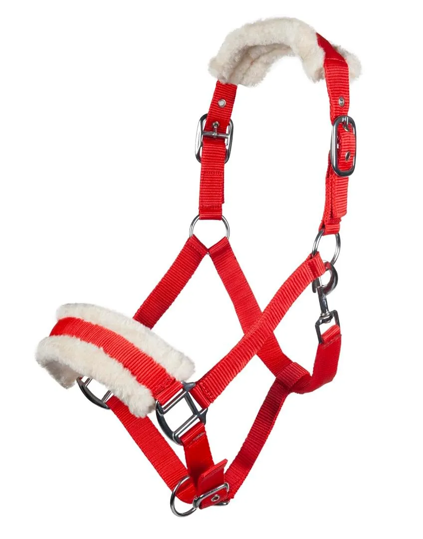 hkm-11796-halfter-bischofshofen-vollblut-rot-mit-pl-schpolster image 1