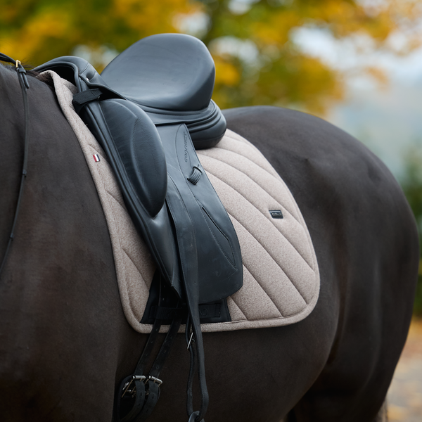 kingsland-equestrian-klaudrey-dressur-schabracke image 2