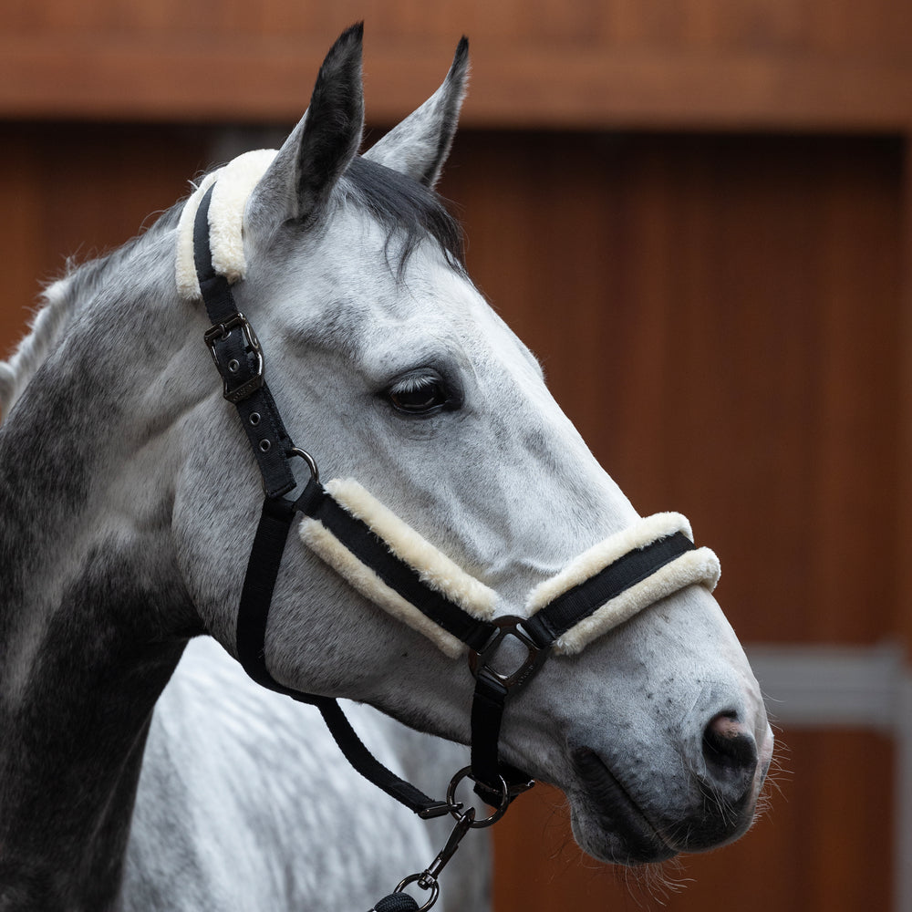 kingsland-equestrian-kllexie-halfter-mit-kunstfell-und-strick image 2