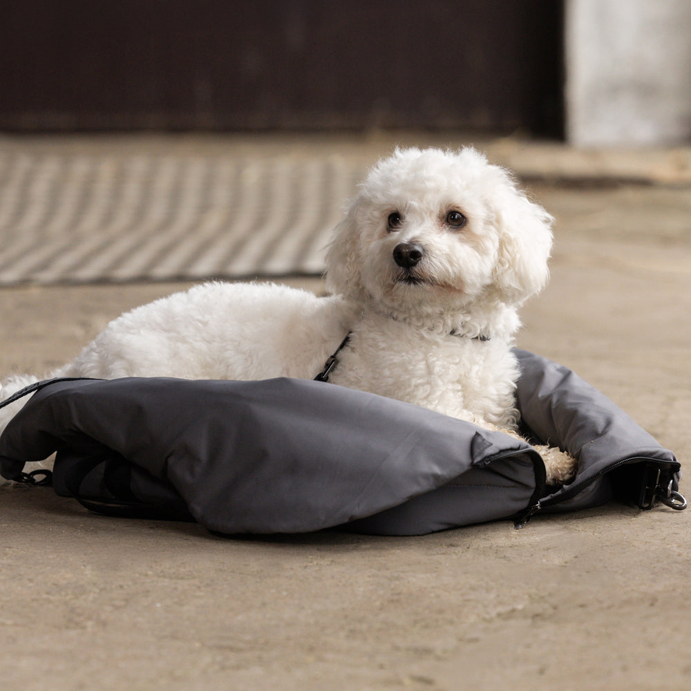 kingsland-equestrian-klmacey-hundedecke-tasche-klein image 3