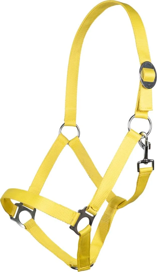 hkm-stars-economy-softice-holster image 1