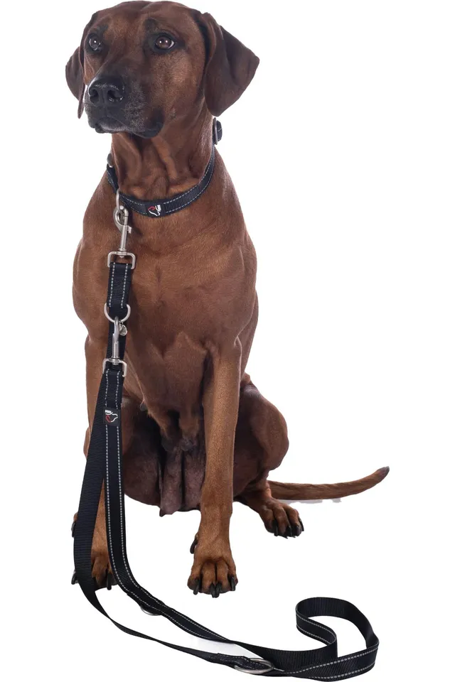 hkm-anam-cara-nylon-hundetrainingsleine-schwarz-l image 1