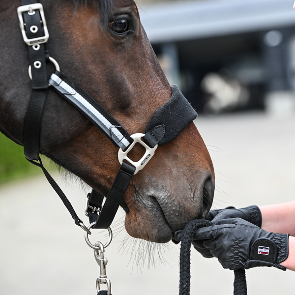 kingsland-equestrian-classic-reithandschuhe image 2