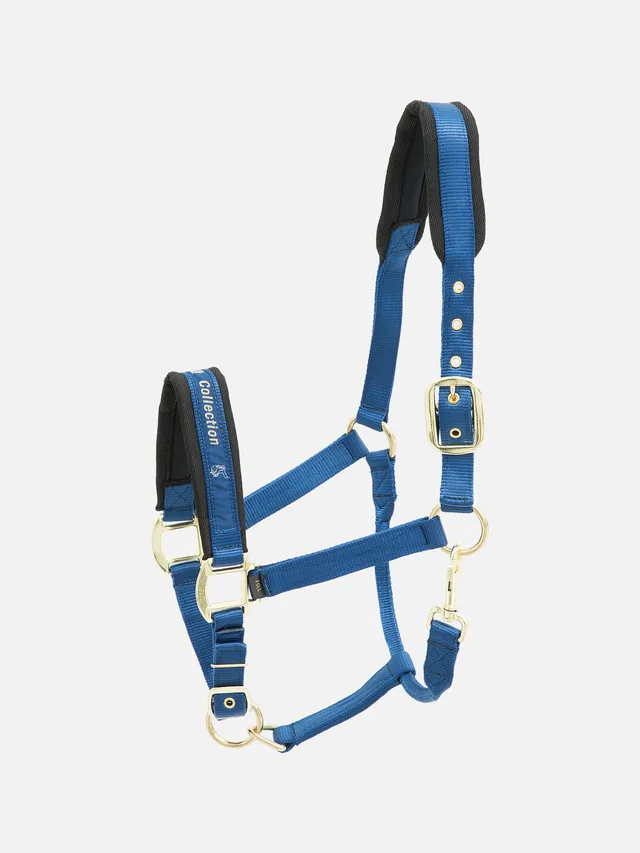 kieffer-collection-stallhalfter-nylon-gepolstert image 1