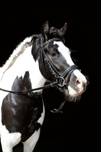 hkm-lou-trense-schwarz-one-size-rindsleder image 8