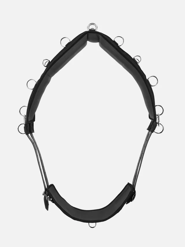 kieffer-longiergurt-nylon-mit-17-ringen image 1