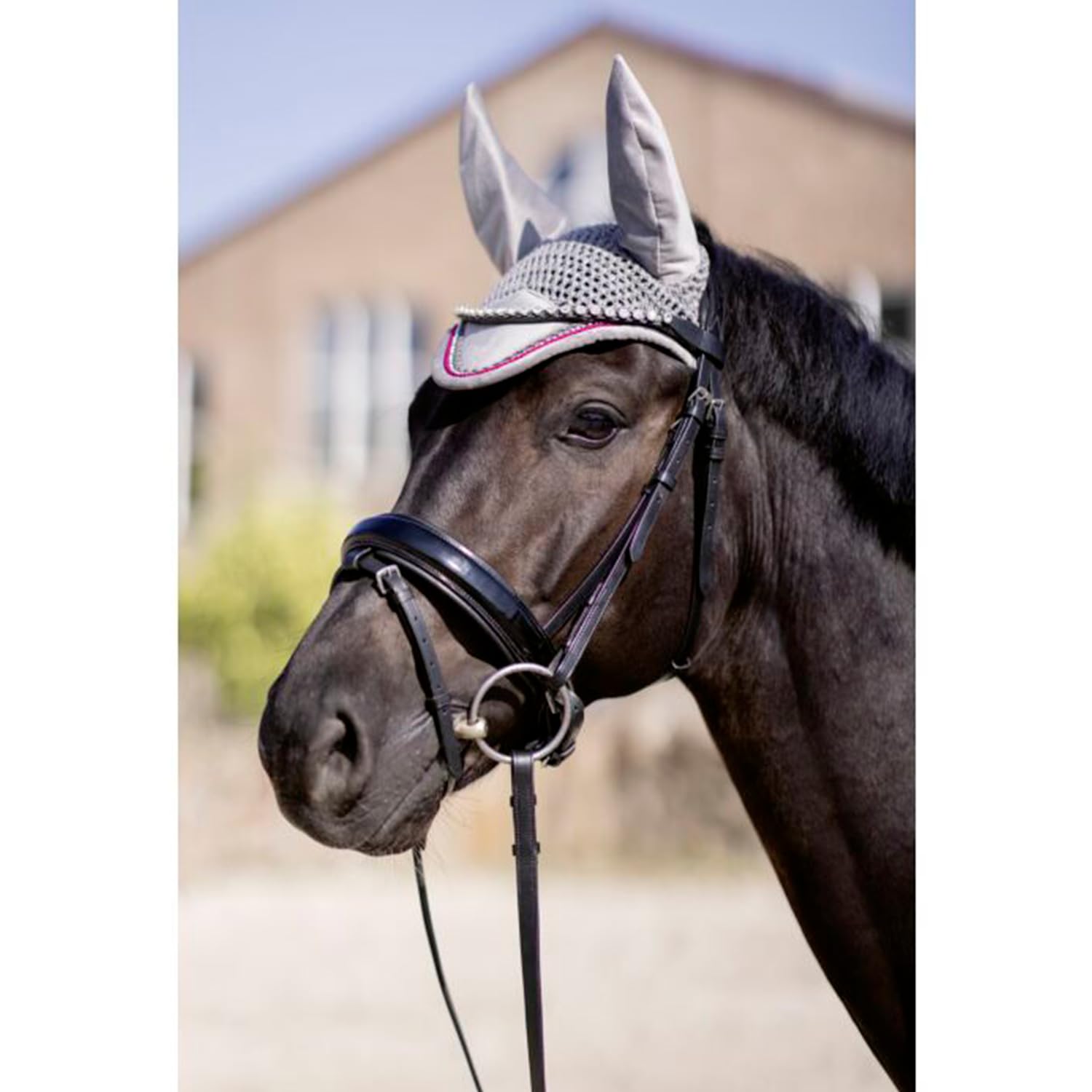hkm-berry-9300-fliegenhaube-dunkelgrau-vollblut image 2