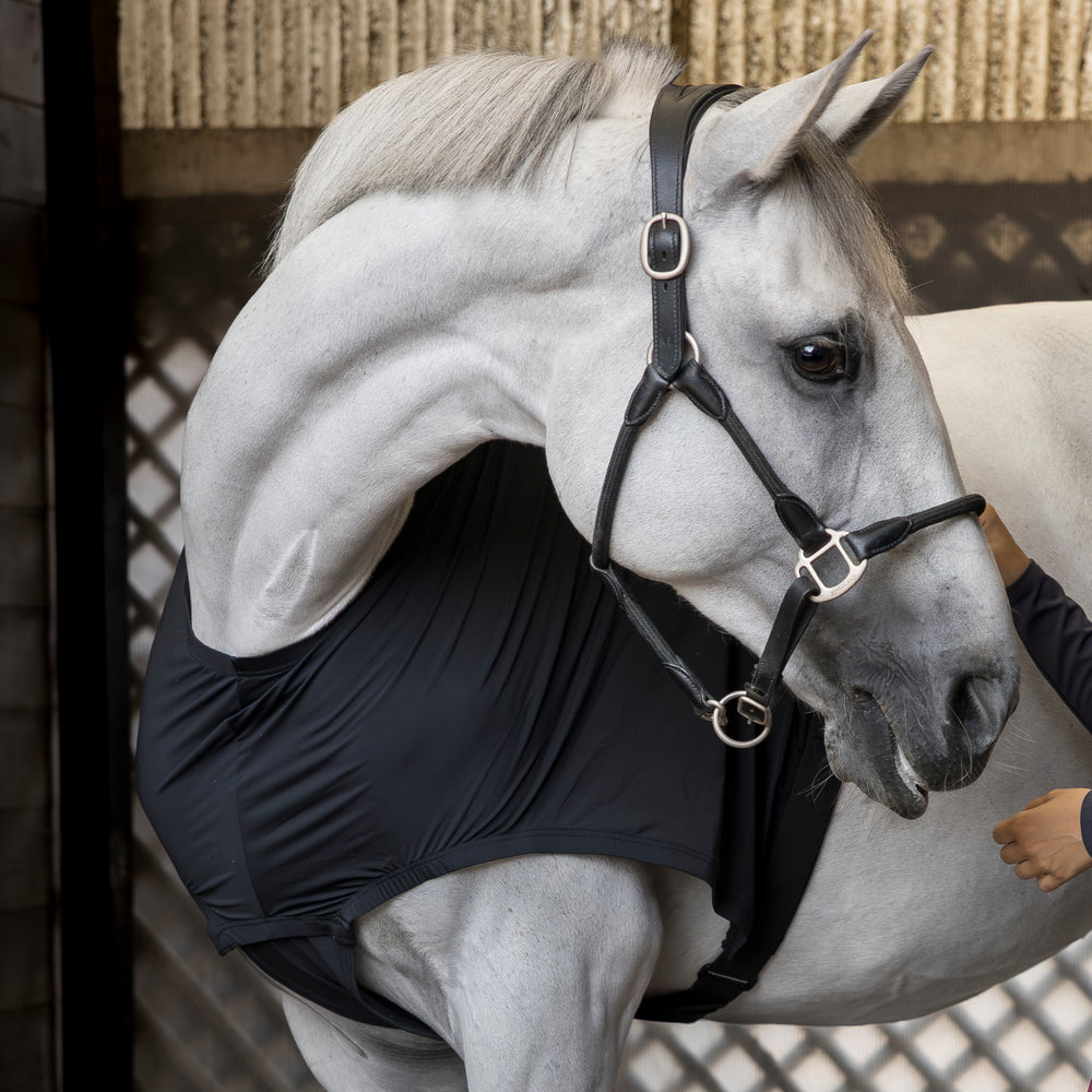 kingsland-equestrian-klmitzi-m-hnen-und-schulterschutz image 2