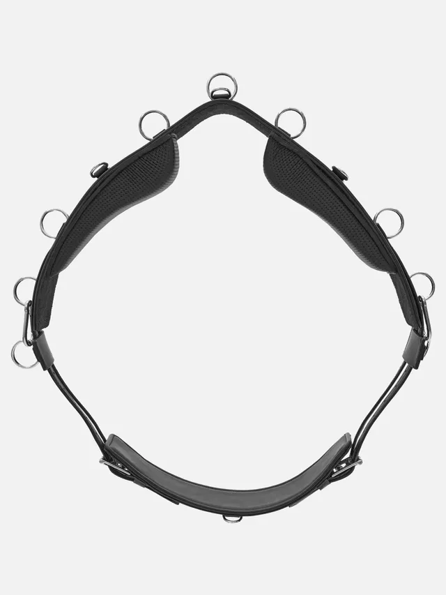 kieffer-longiergurt-flexifit-secu-pro-longiergurt-mit-kopfeisen image 1
