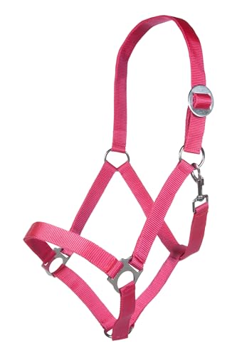hkm-stars-economy-softice-sporenholster image 5