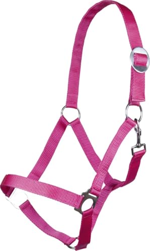 hkm-stars-economy-softice-sporenholster image 4