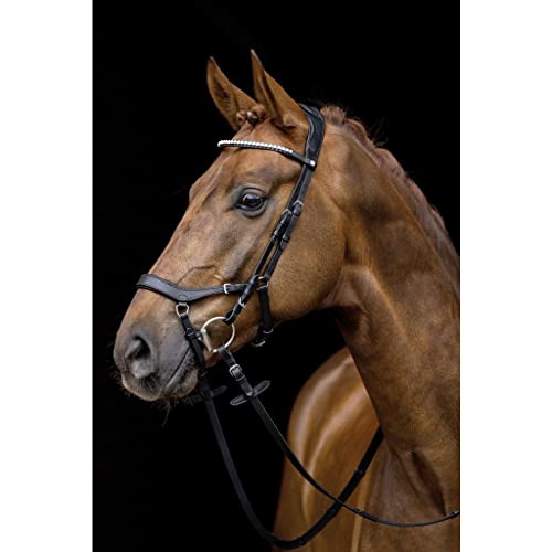 hkm-pro-anatomic-trense-9100-schwarz-vollblut image 7