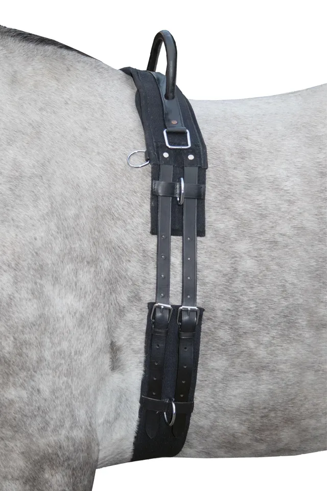 hkm-1795-longiergurt-schwarz-vollblut-warmblut image 1