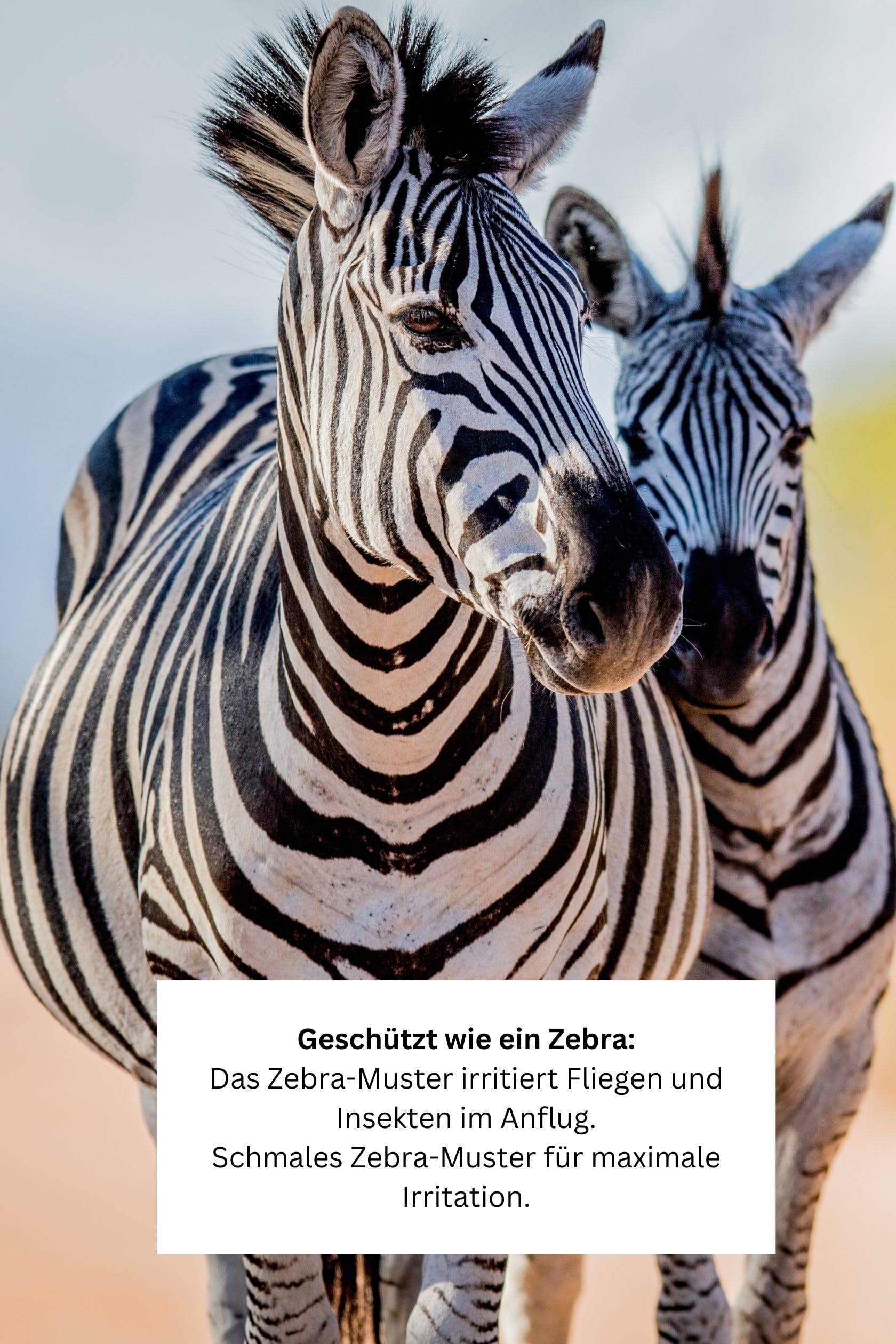hkm-fliegendecke-mit-halsteil-zebra-mit-bauchlatz-gr-m image 8
