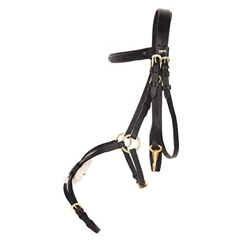 hkm-trense-braun-warmblut image 5