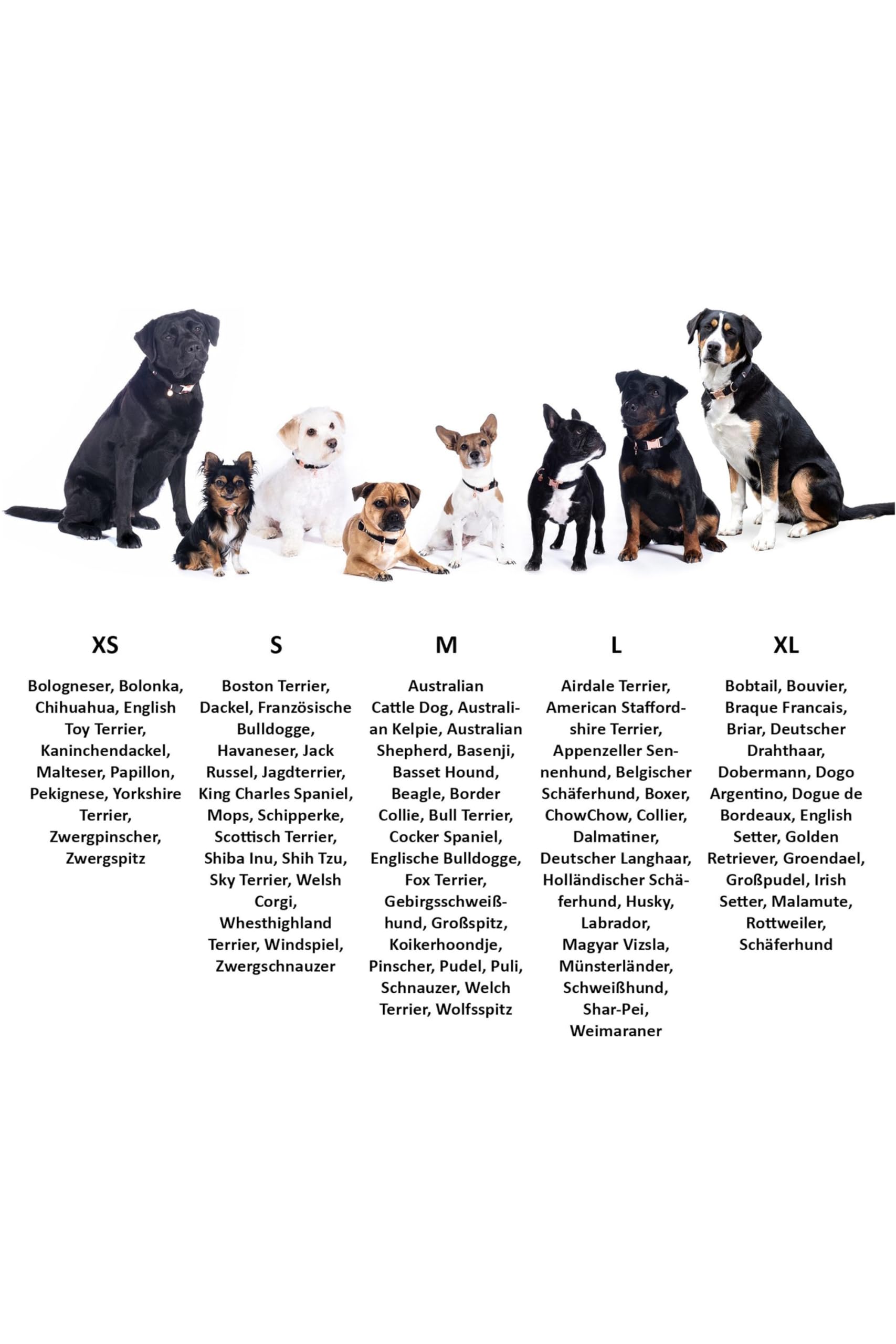 hkm-anam-cara-nylon-hundetrainingsleine-schwarz-l image 4