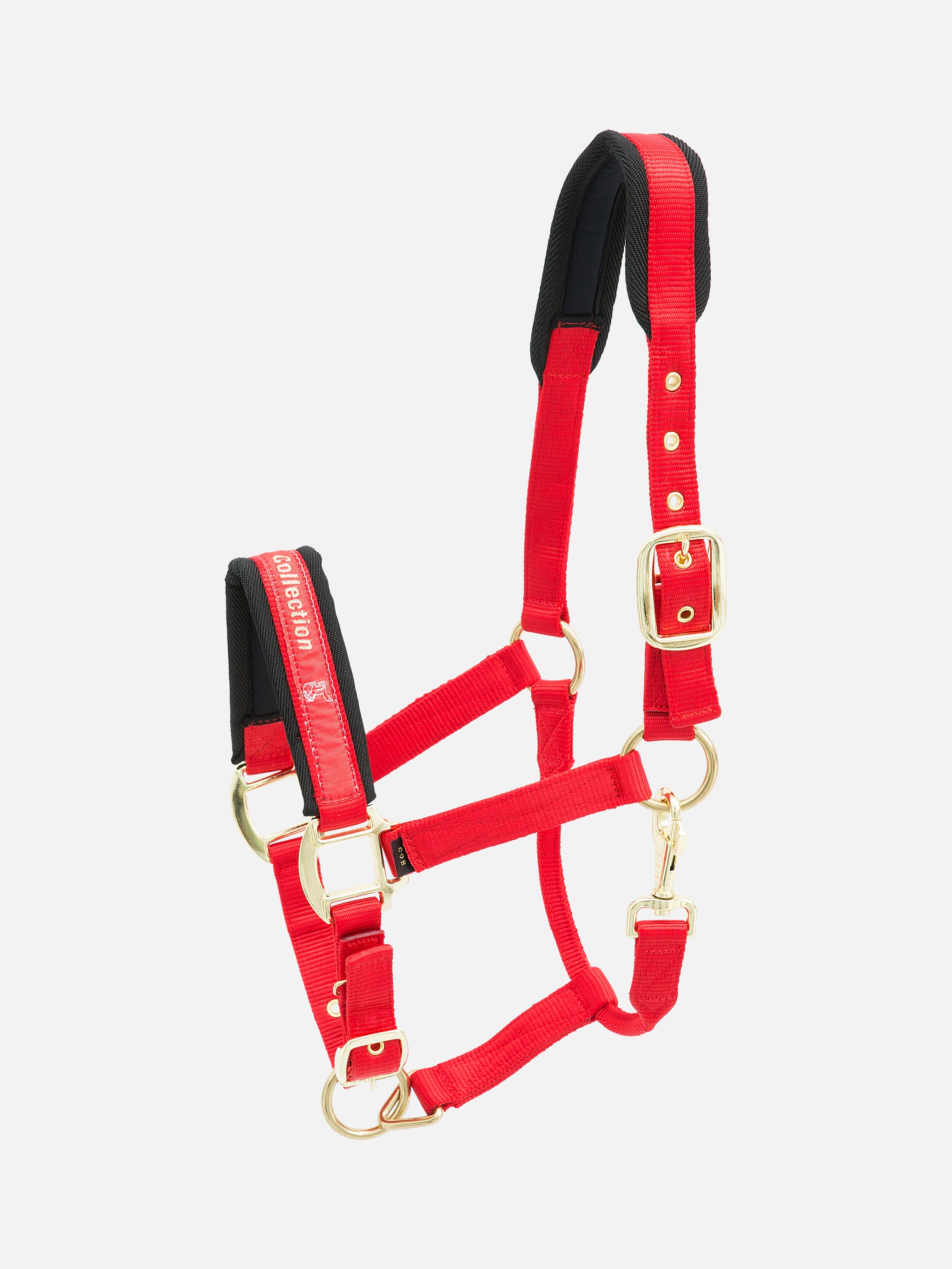 kieffer-collection-stallhalfter-nylon-gepolstert image 6