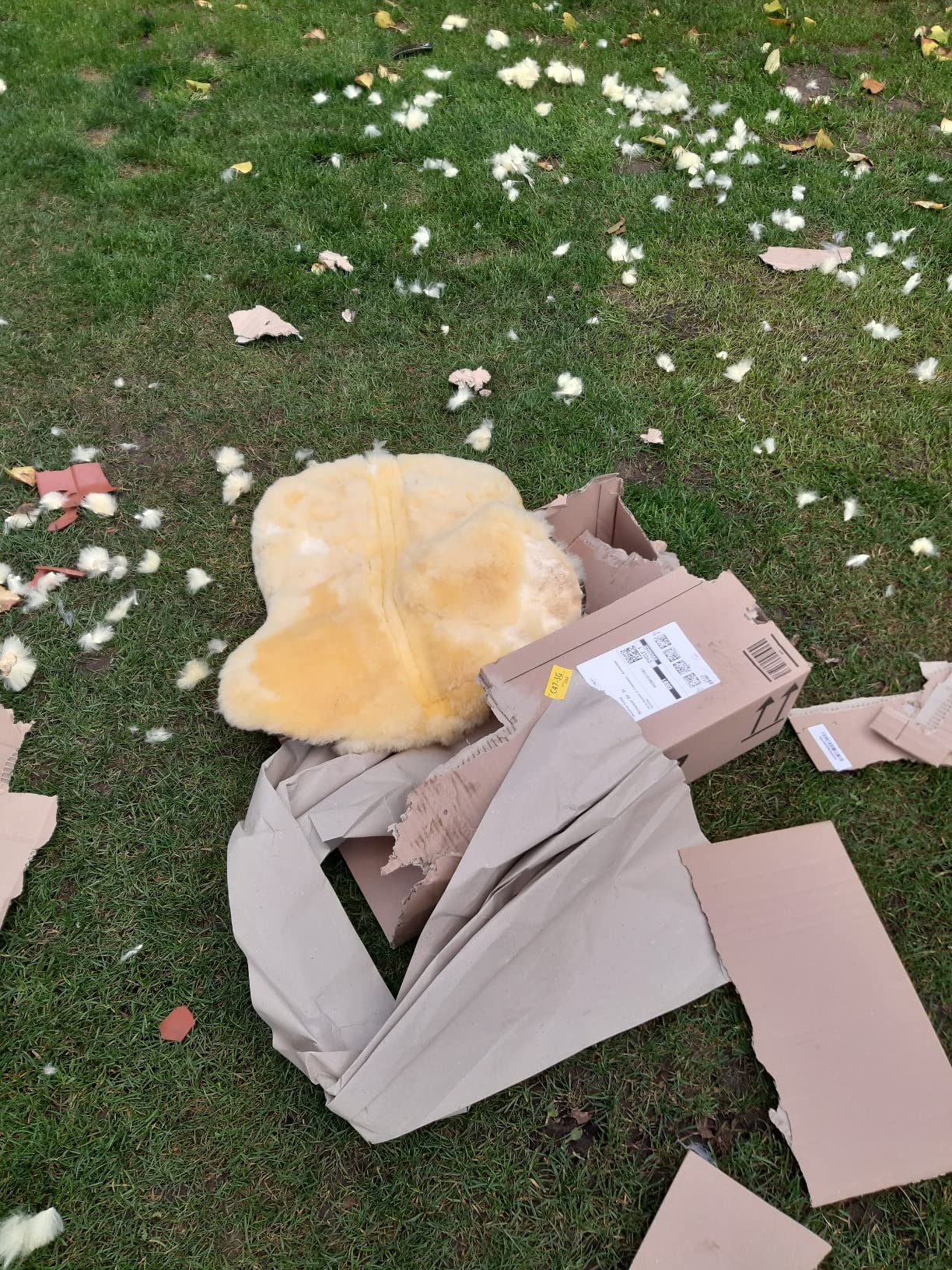 Pferd läuft zufriedener
