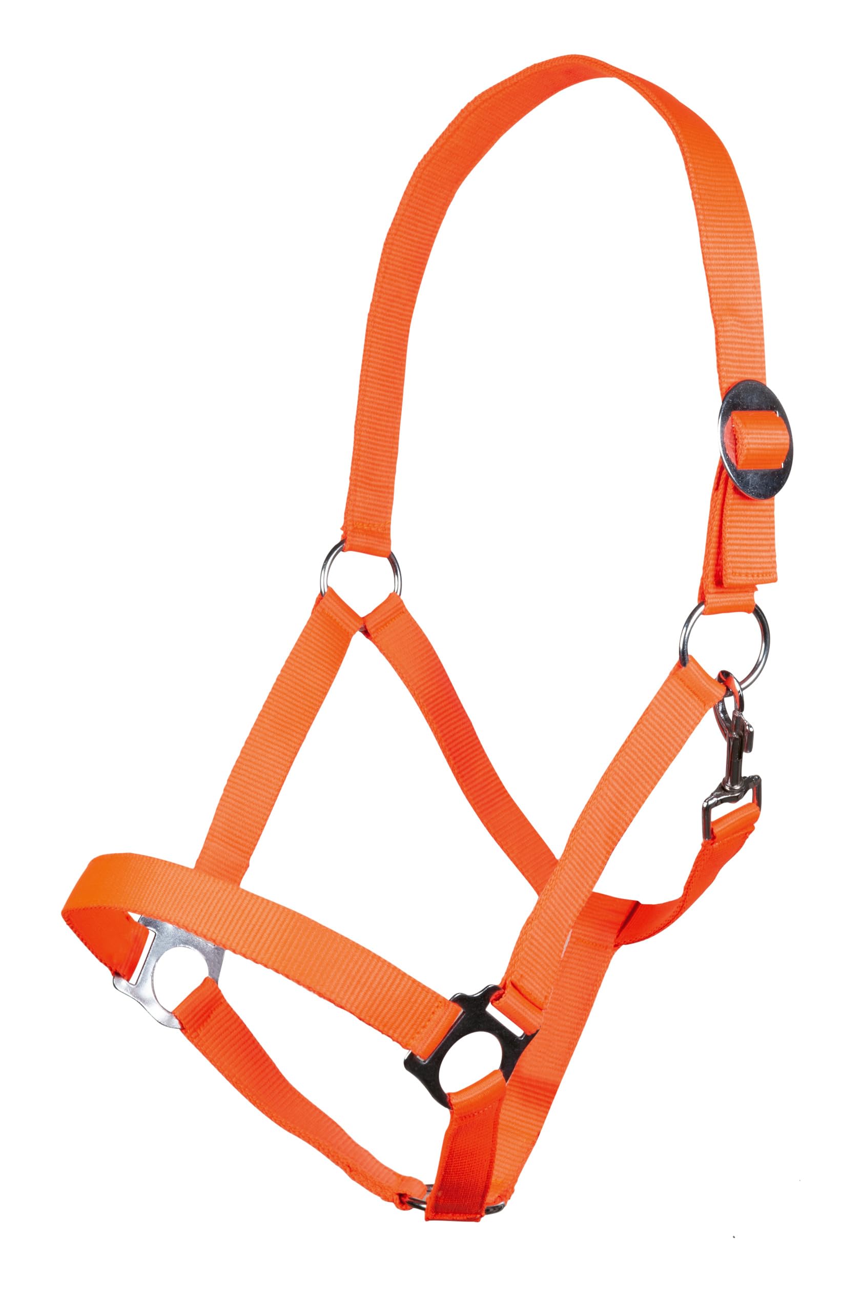 hkm-stars-economy-halfter-softice image 2