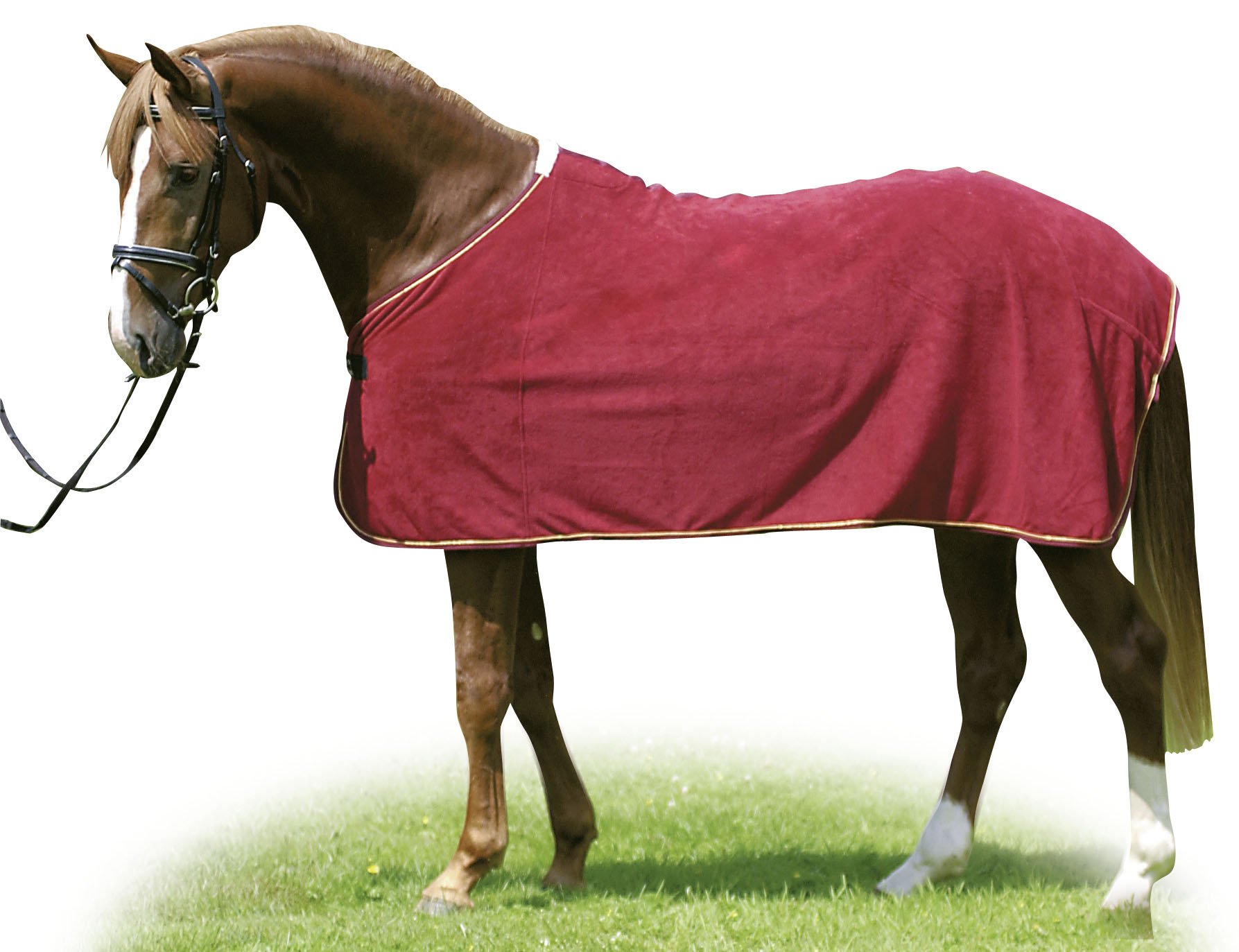hkm-7901-abschwitzdecke-polarfleece-pferdedecke-75-165 image 4