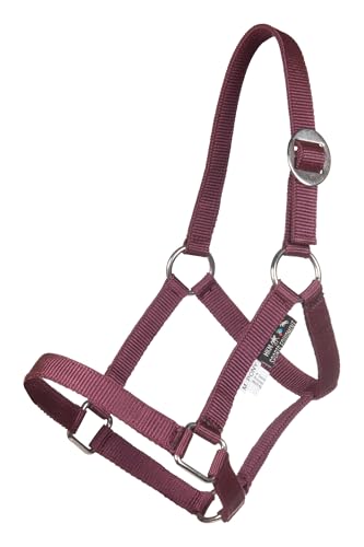 hkm-mini-shettyhalfter-s-dunkel-weich-gepolstertes-halfter image 6