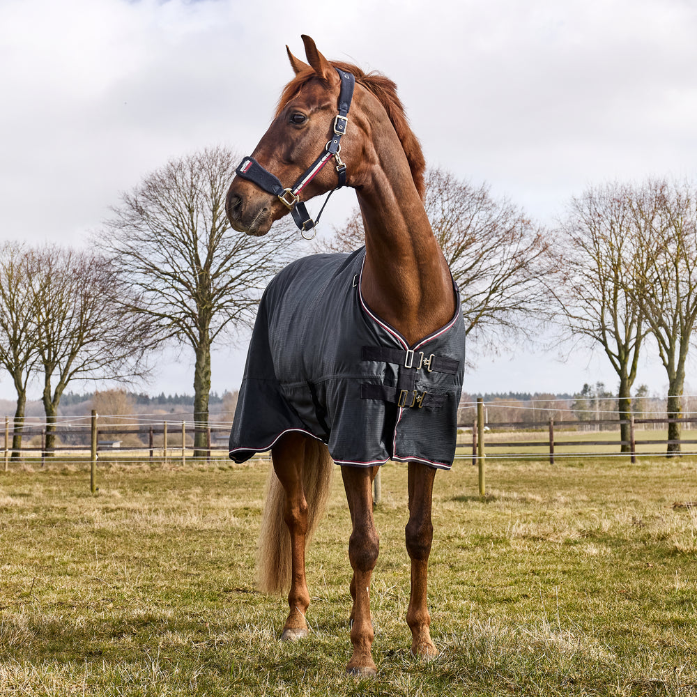 kingsland-equestrian-classic-primary-turnout-rug-0g-mit-abnehmbarem-hals image 4