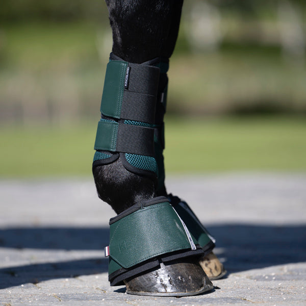 kingsland-equestrian-klnora-mesh-gamaschen-vorderbeine image 5