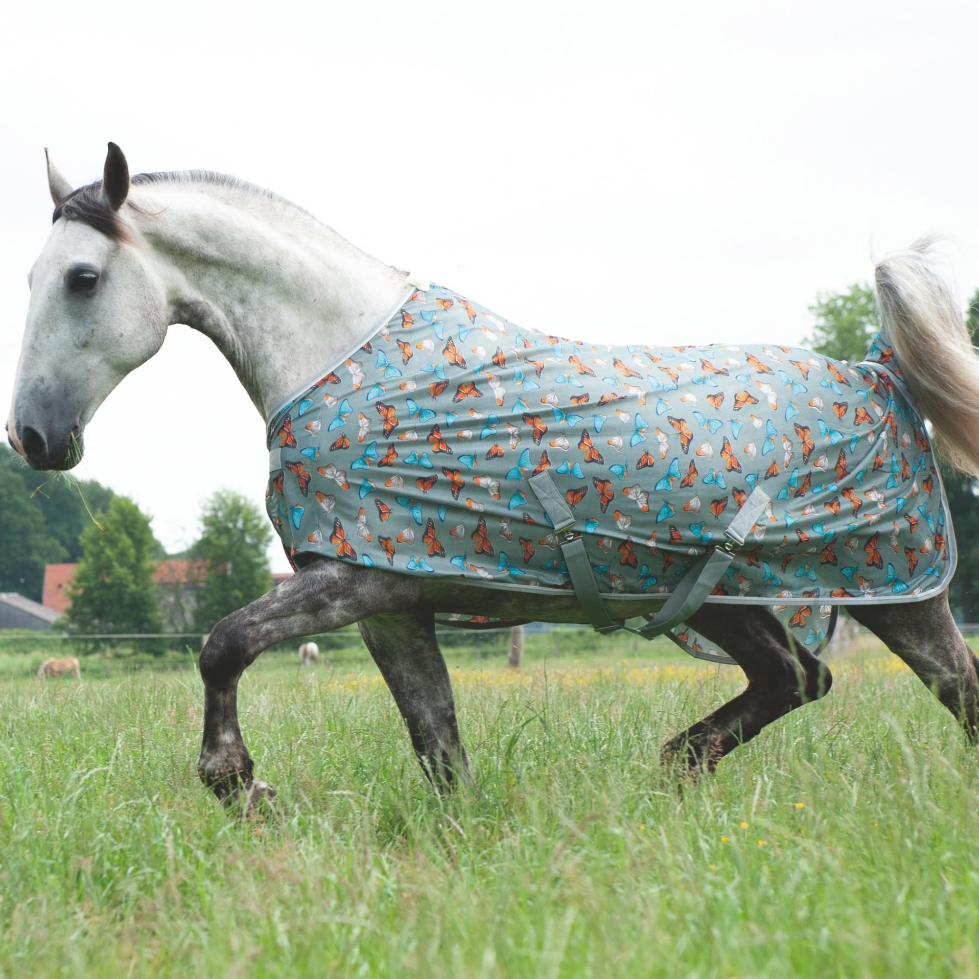 hkm-butterfly-fliegendecke-hellgrau-145-cm image 4