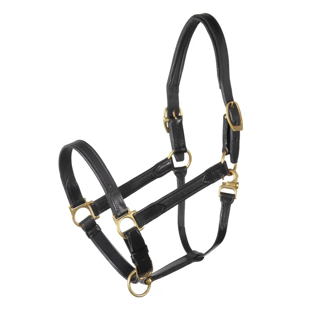 st-bben-lederhalfter-nt-stallhalfter-aus-vachette-leder-mit-messing image 1