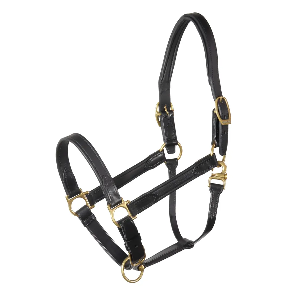 st-bben-lederhalfter-nt-stallhalfter-aus-vachette-leder-mit-messing image 1